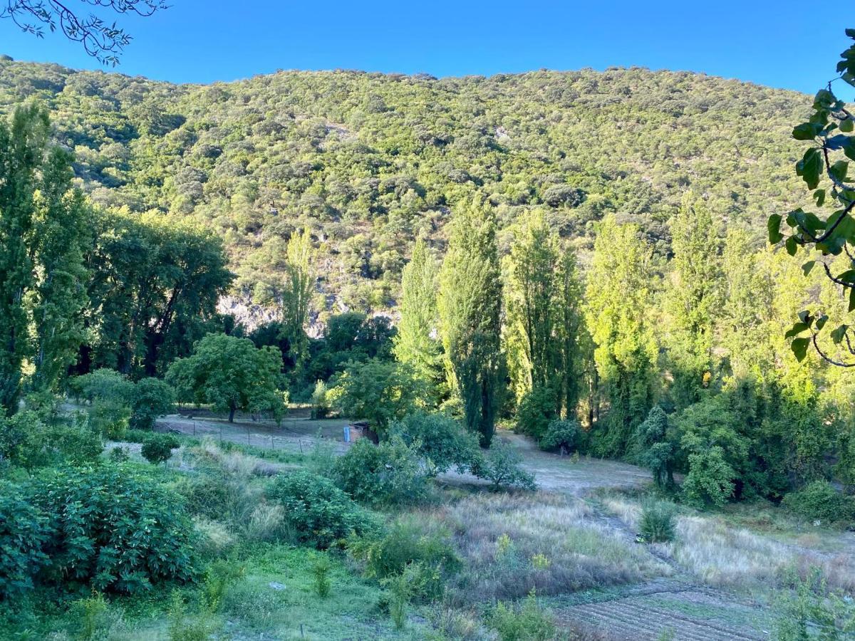 Stay Wild En Las Casitas De Huerta Arriba Бенамаома Экстерьер фото